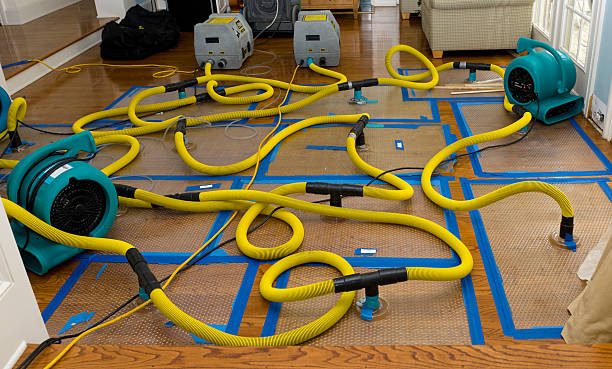 Professional Water Damage Restoration technician working in Chaseburg, WI